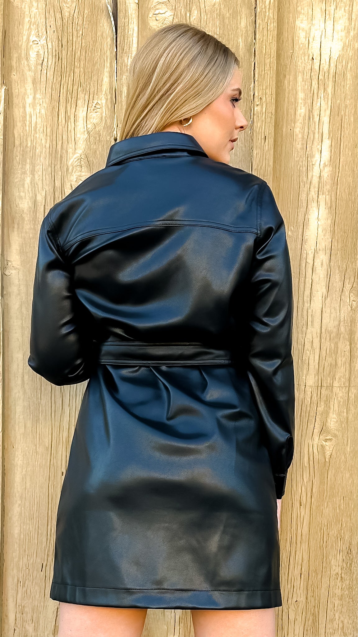 Vegan Leather Dress